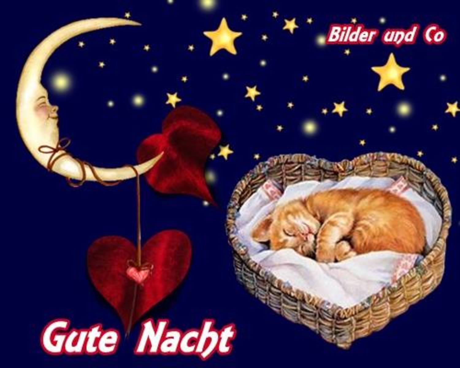 Gute nacht whatsapp