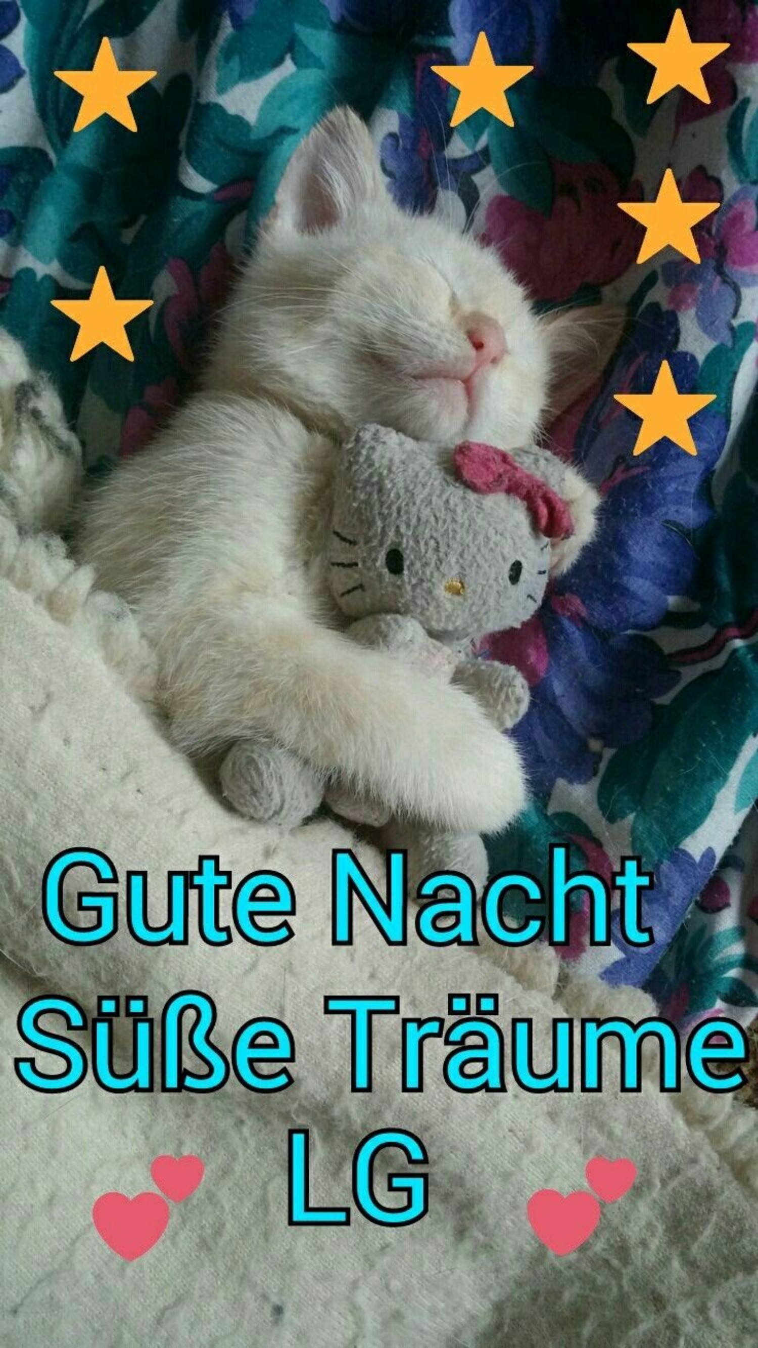 Gute nacht