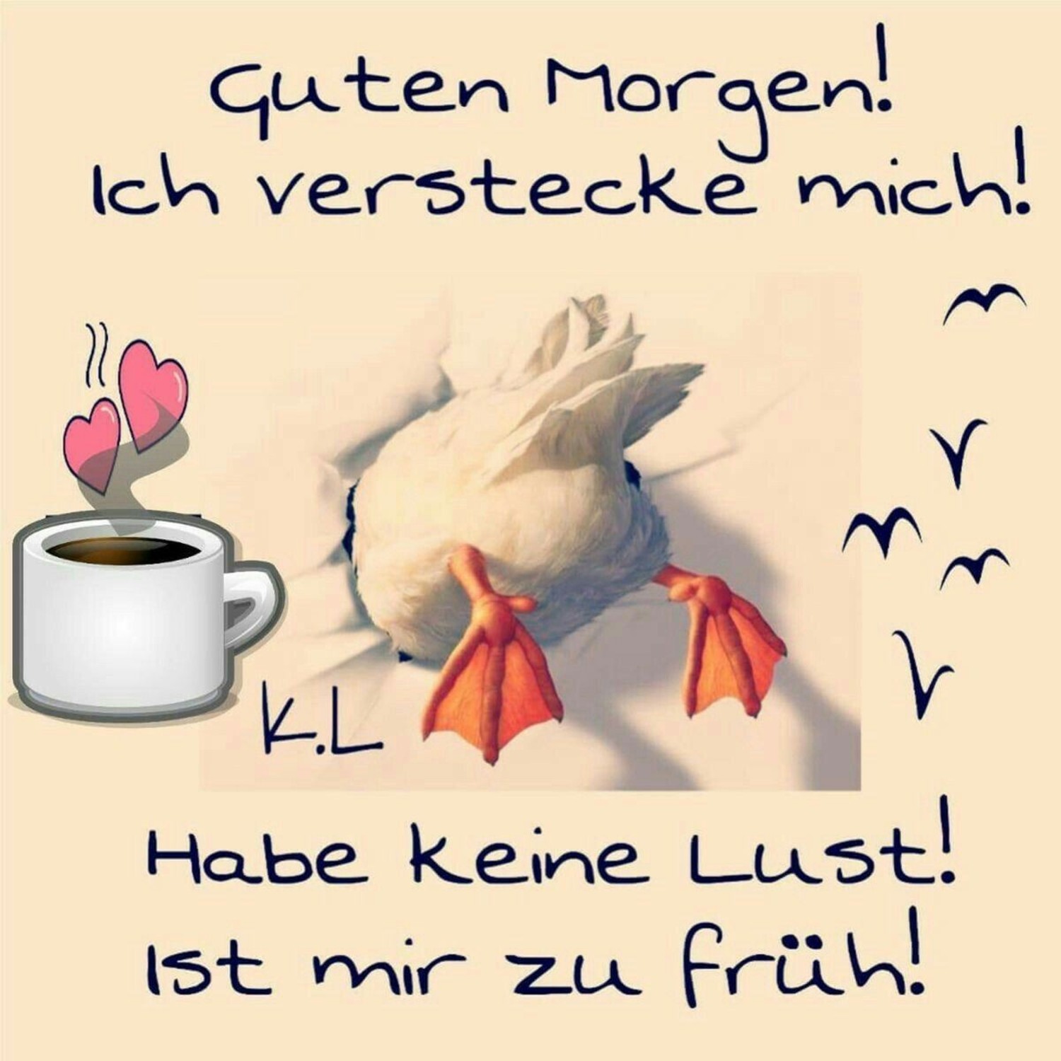 Lustige guten morgen sprüche mit bildern