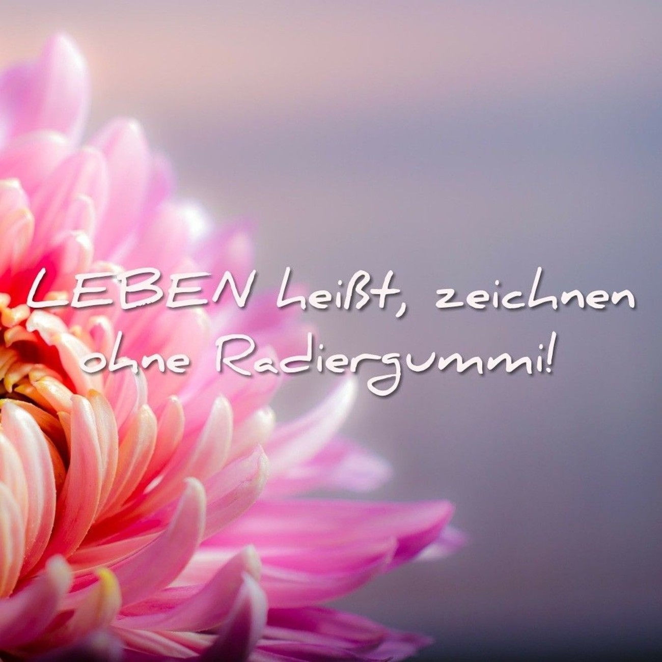 37++ Facebook sprueche fuers leben ideas