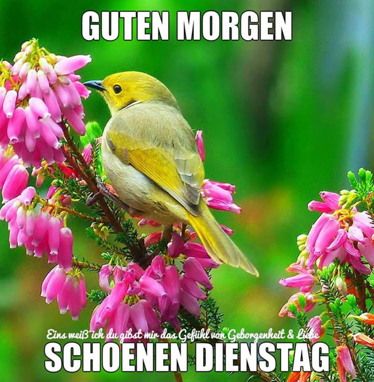 31++ Liebe gruesse sprueche bilder 