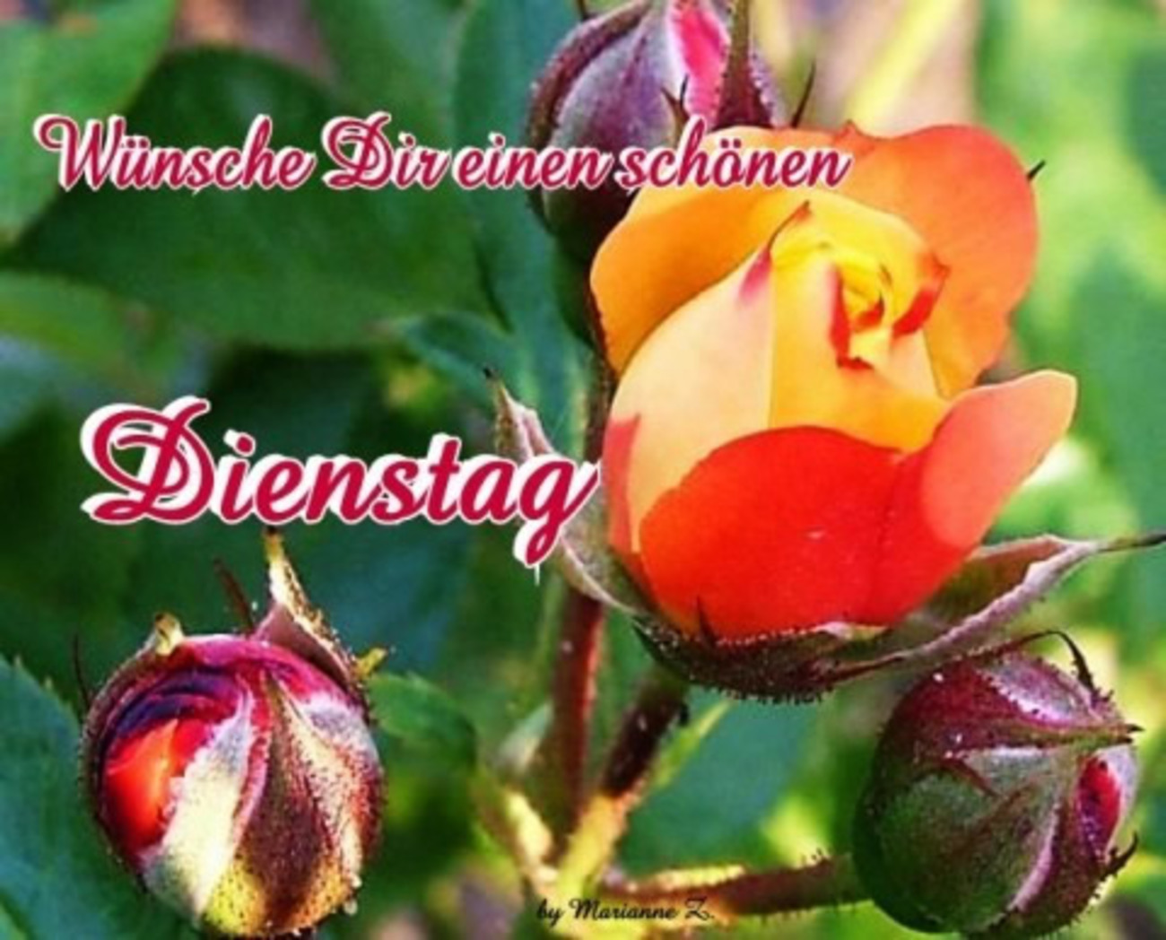 42++ Whatsapp sprueche liebe gruesse 