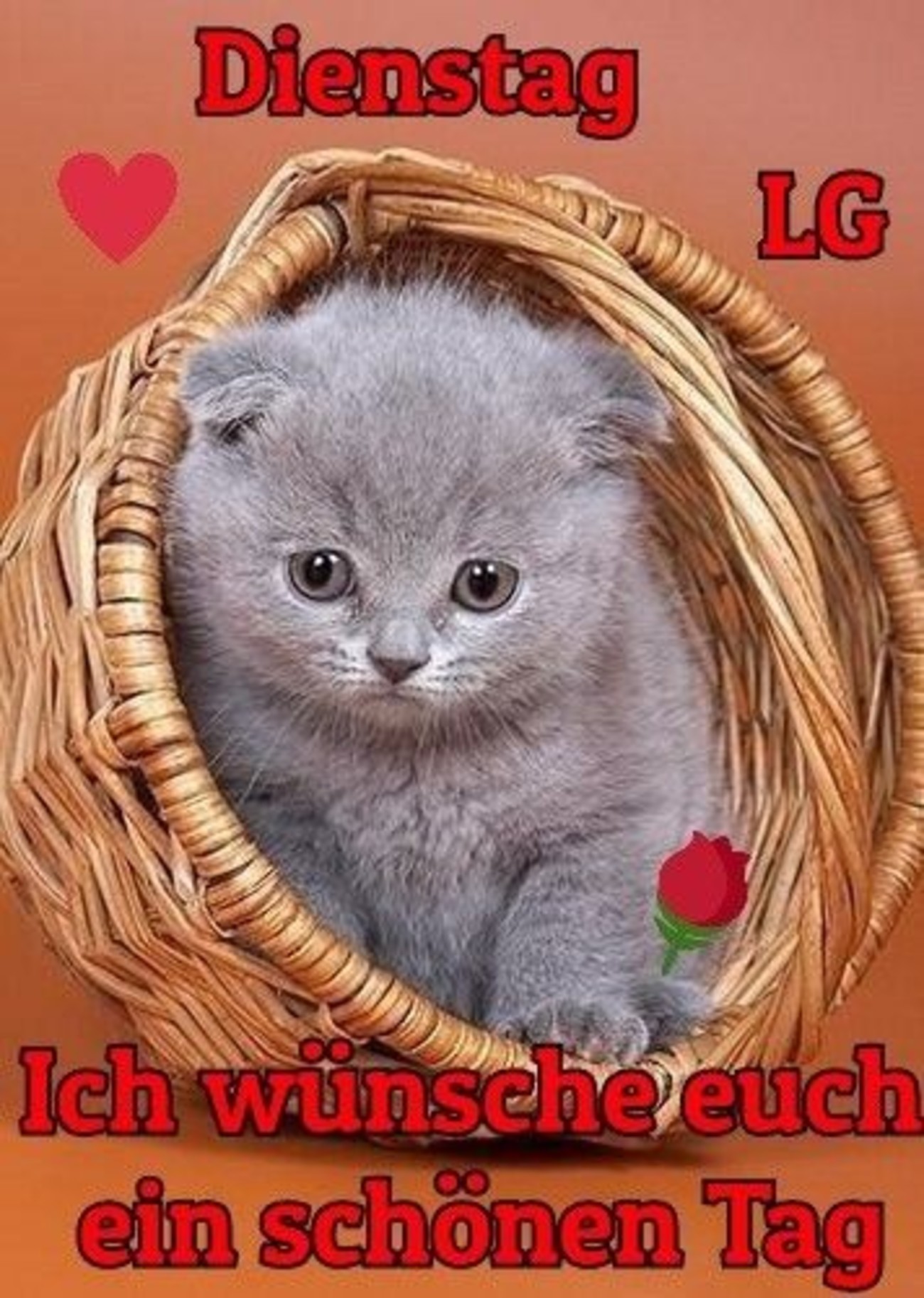 Schönen Dienstag Pinterest 197 - GBPicsBilder.com