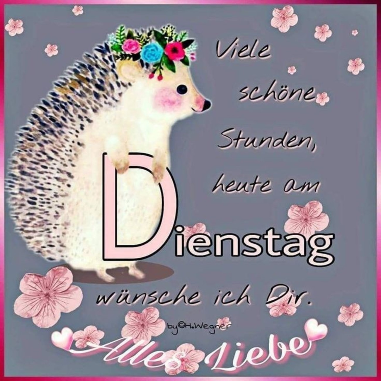 kostenlose bilder guten morgen dienstag