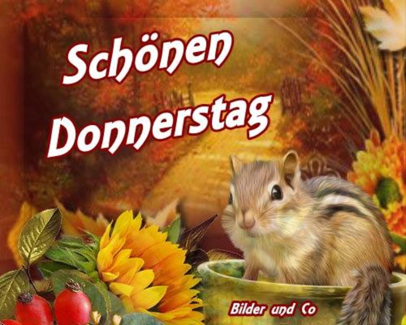 donnerstag morgen grüße bilder kostenlos