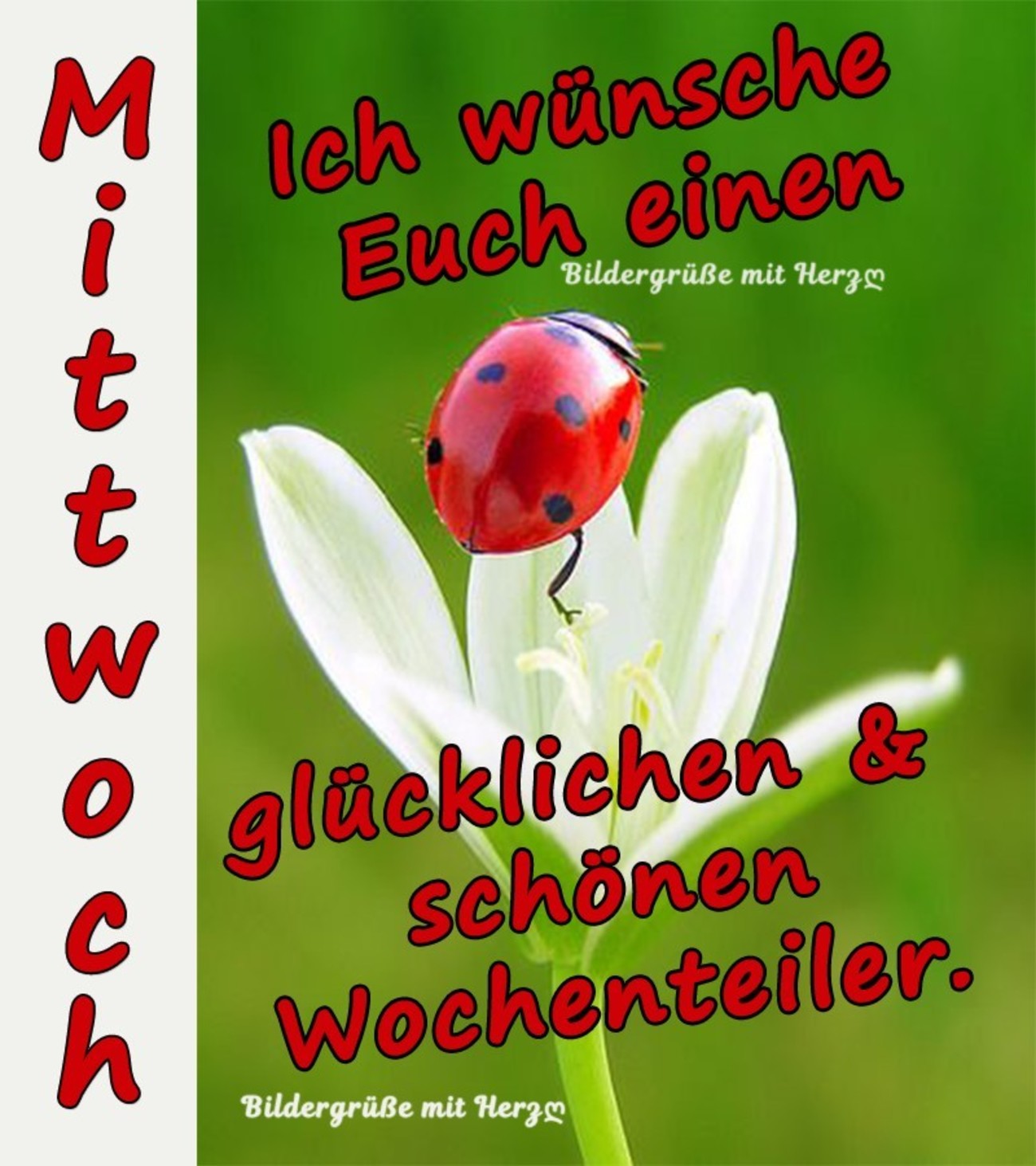 Mittwoch Morgen Bilder: Bringing Joy and Creativity to Your Week