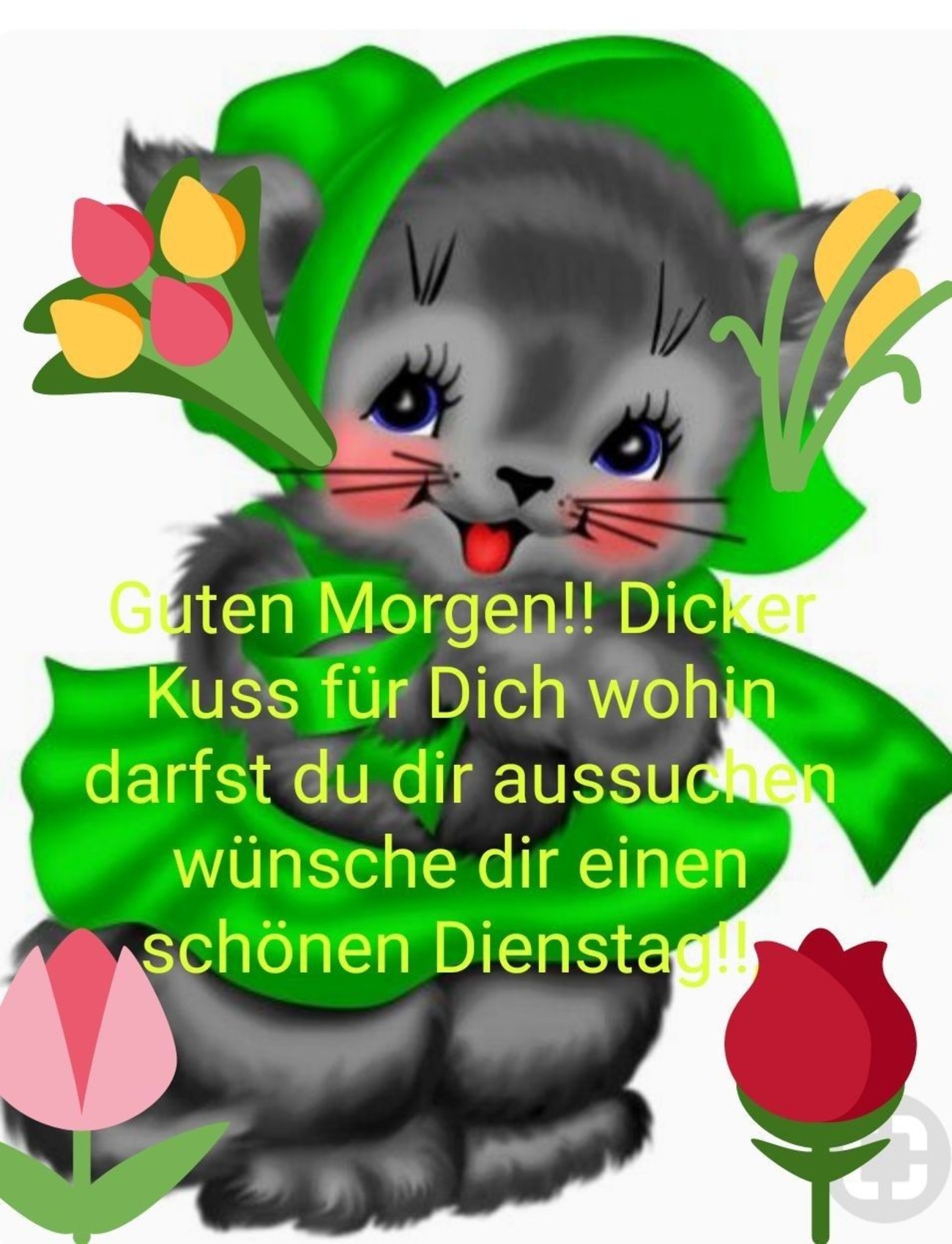 38++ Guten morgen dienstag bilder whatsapp kostenlos , Schönen Dienstag guten bilder