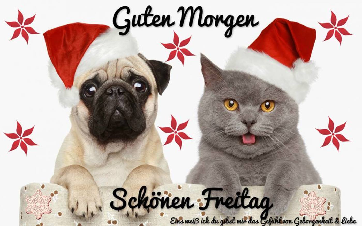 Schönen Freitag Guten Morgen Weihnachten - GBPicsBilder.com