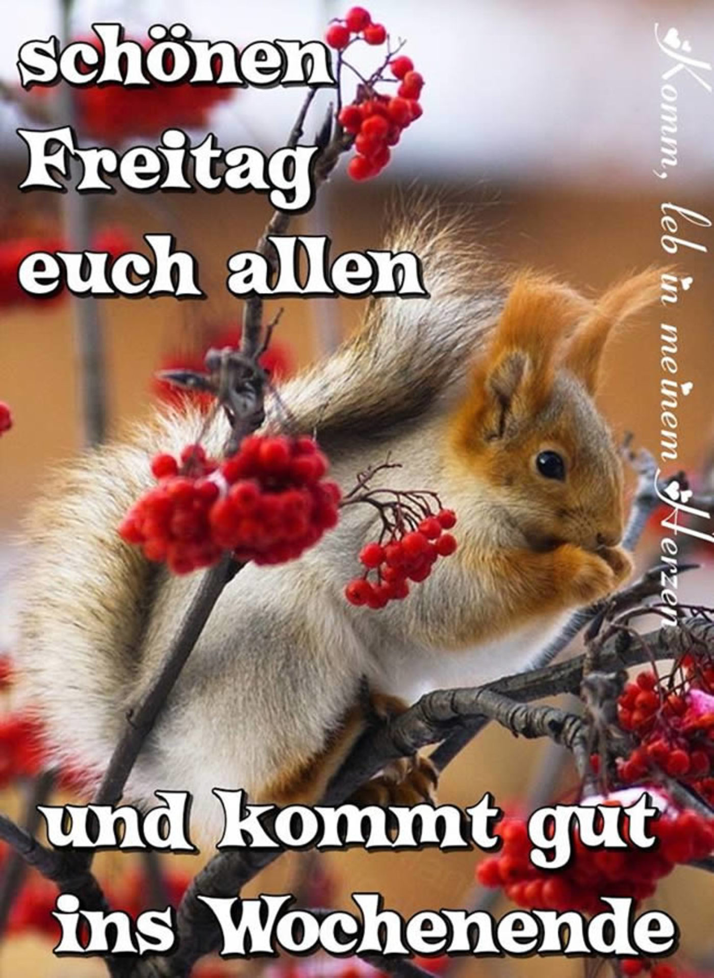 43++ Freitag spruch mit bild information