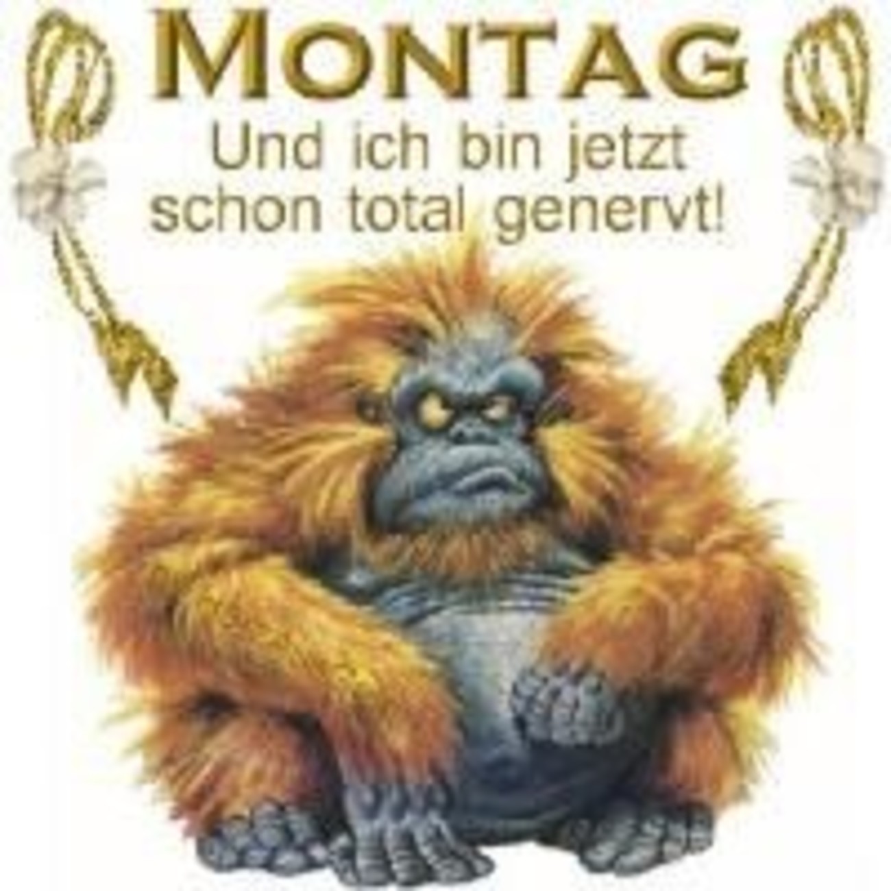 44++ Sprueche zum montag mit bild ideas