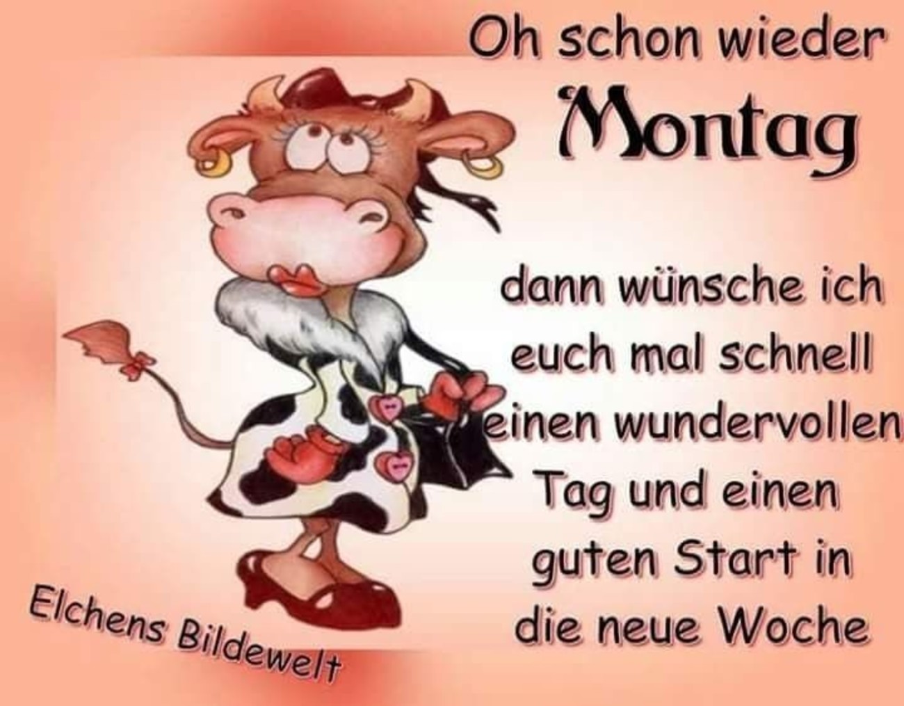 37++ Lustig wochenstart montag sprueche ideas