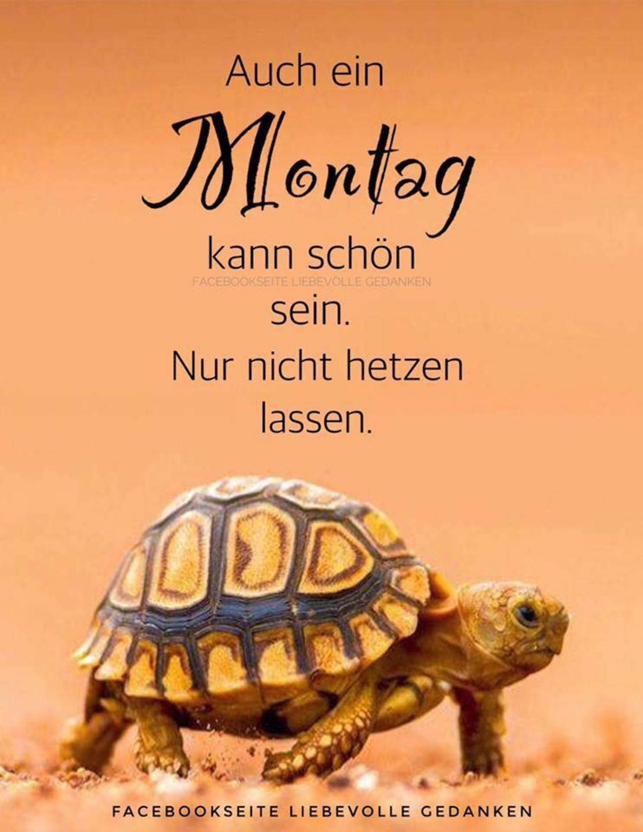 32++ Montag sprueche bilder kostenlos information