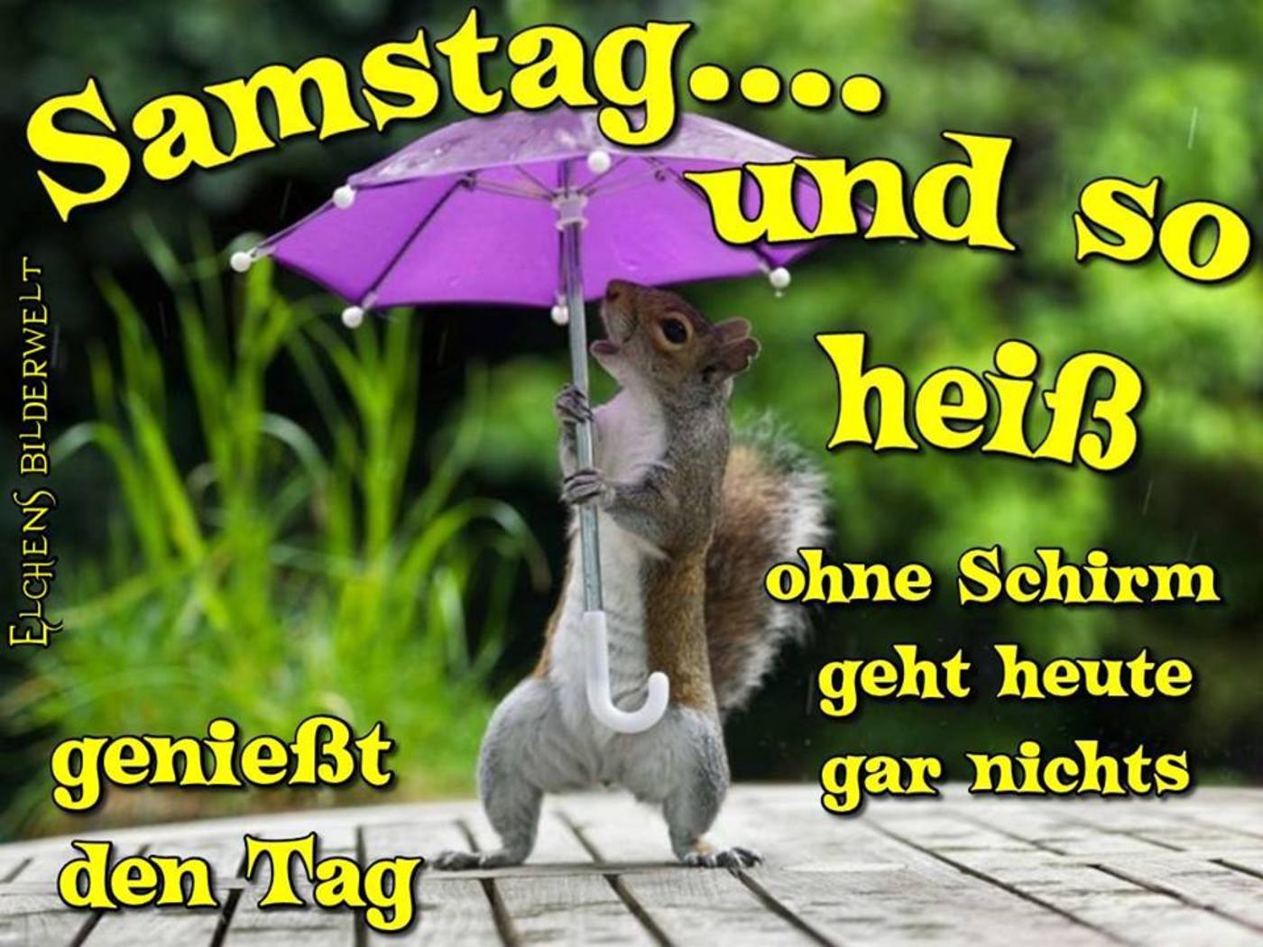 44+ Spruch zum mittwoch , Schönen Samstag regen