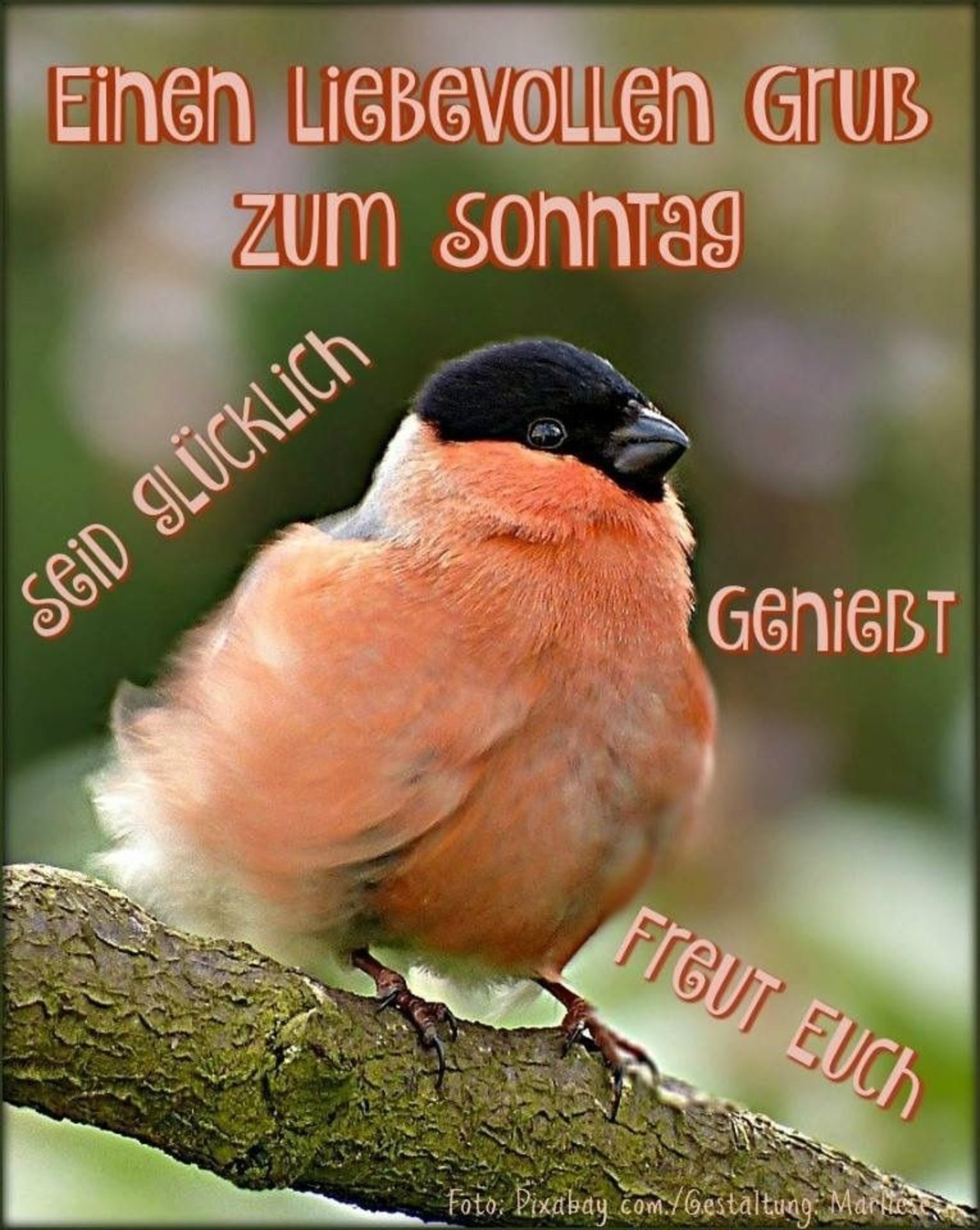 38++ Sprueche zum sonntag mit bild information