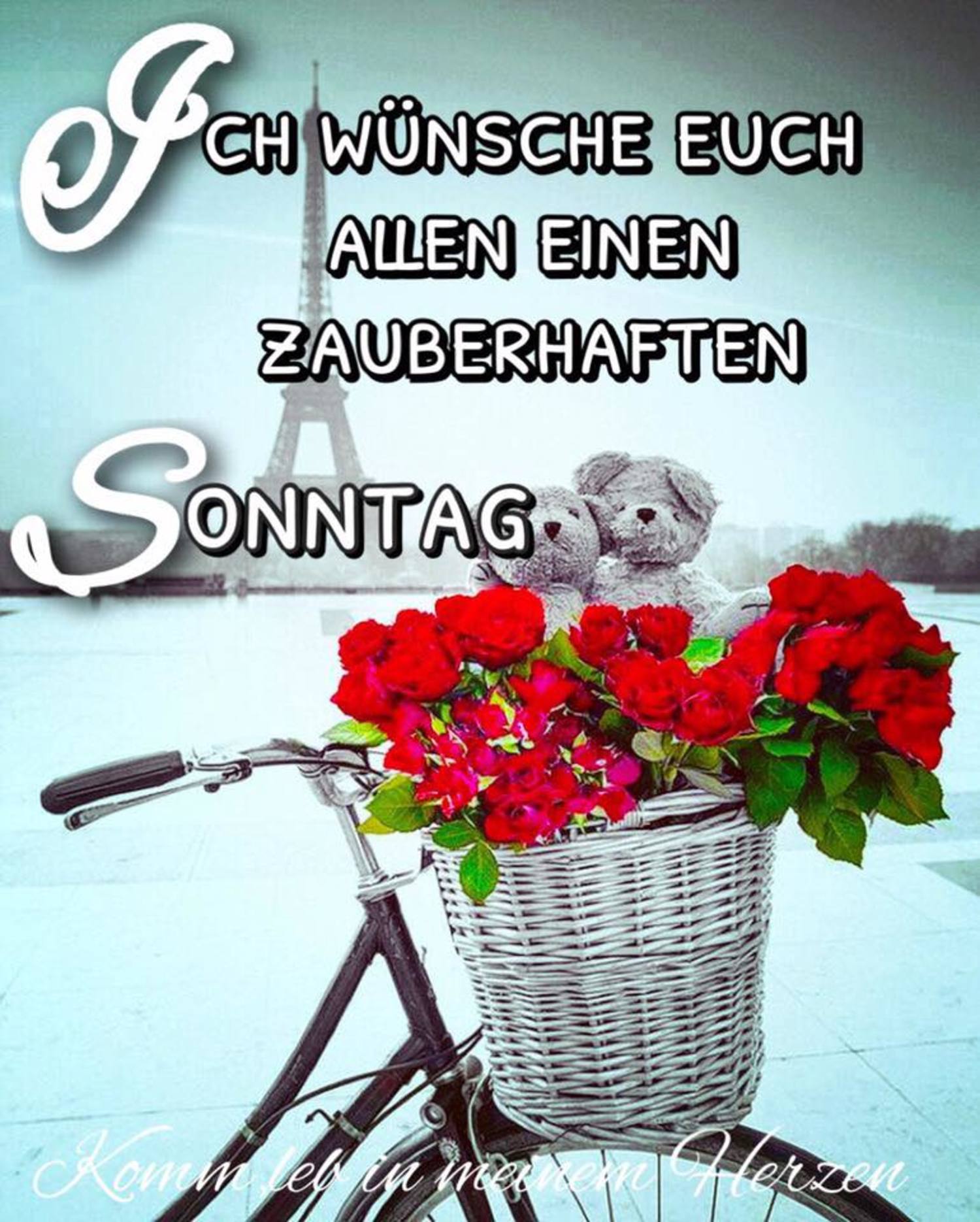 45+ Sonntag sprueche und bilder information