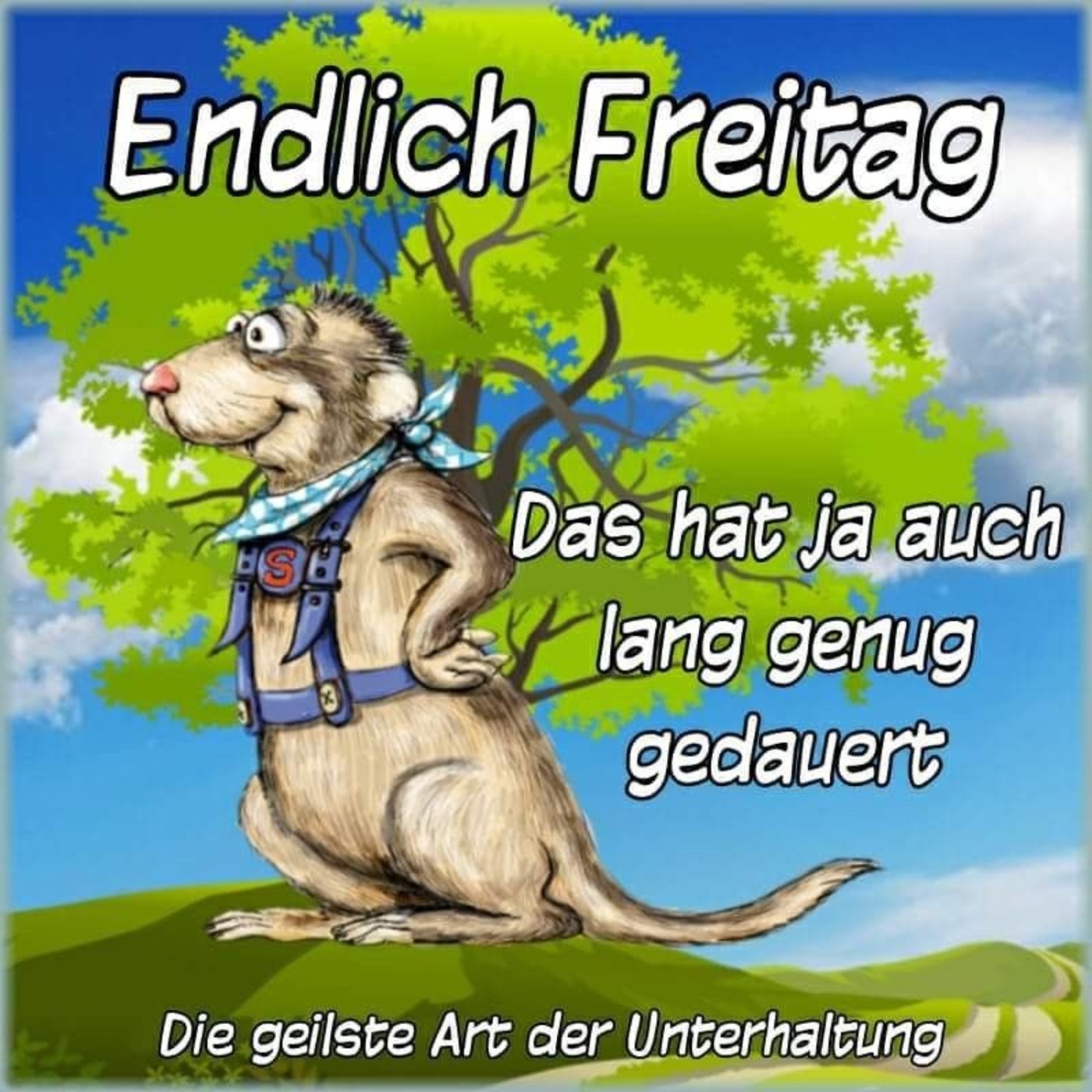 Schönen Freitag Grüße 20