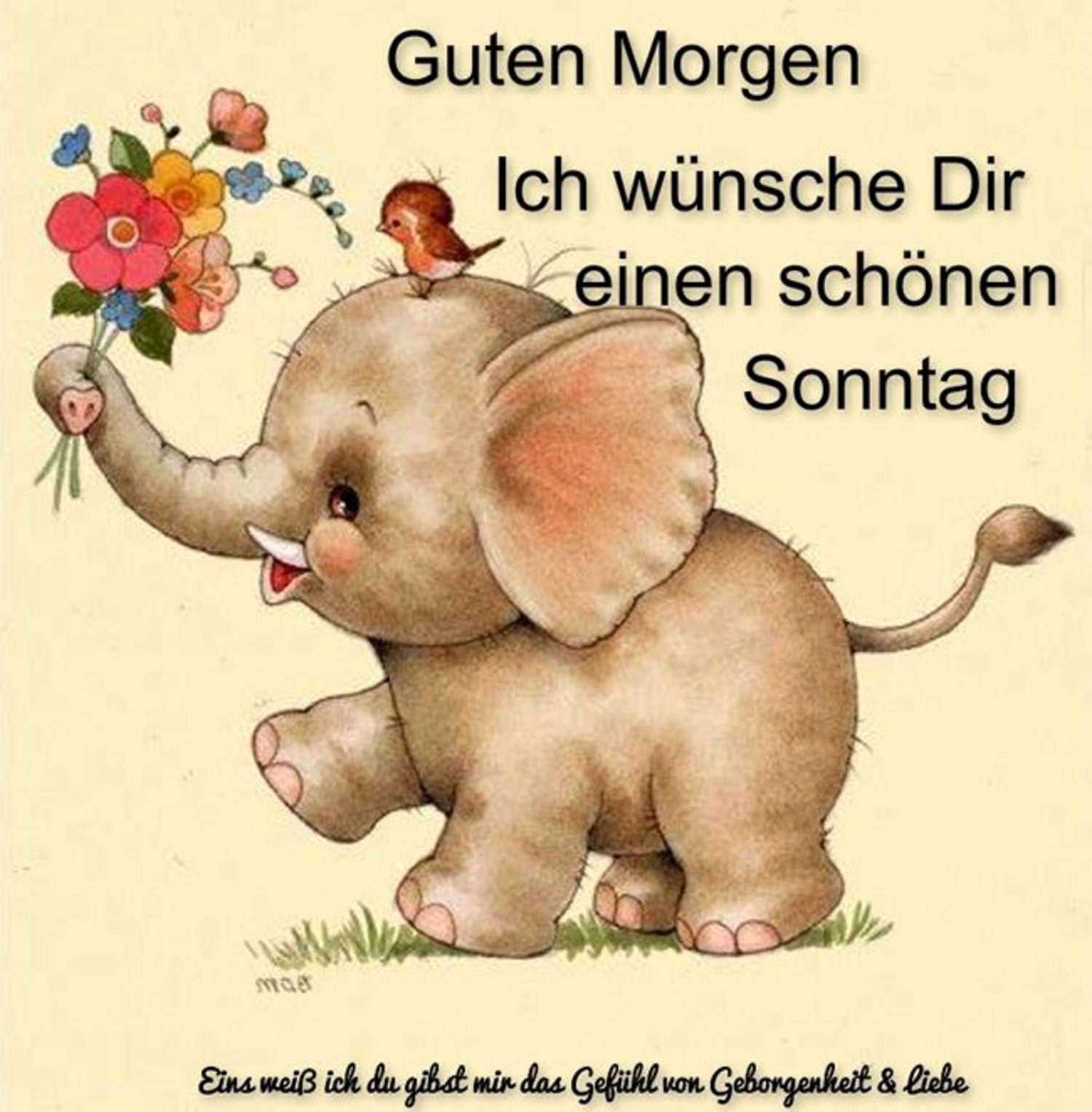 Guten morgen sonntag