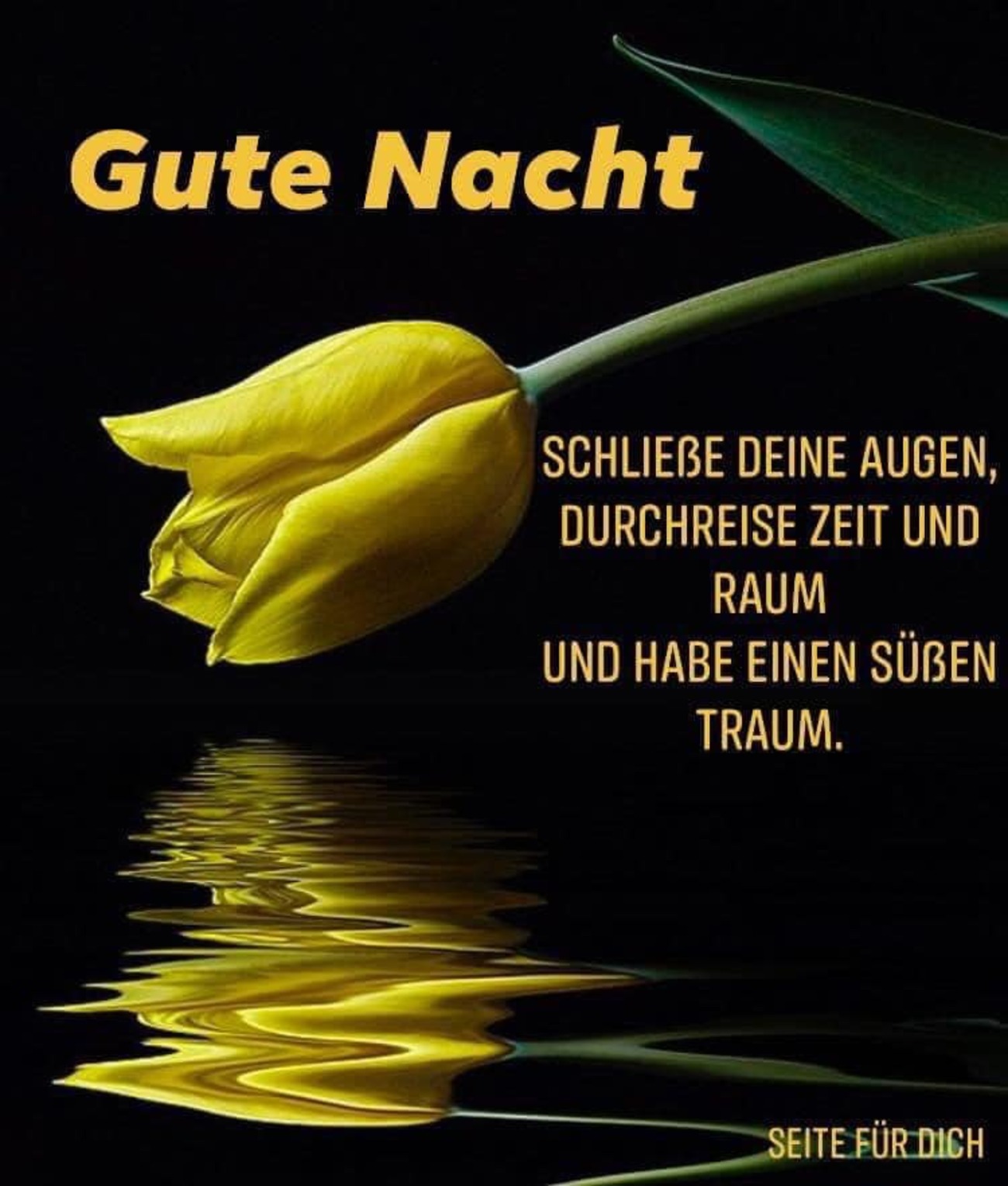 Gute Nacht schließe deine augen durshreise zeit und raum und habe einen süßen traum