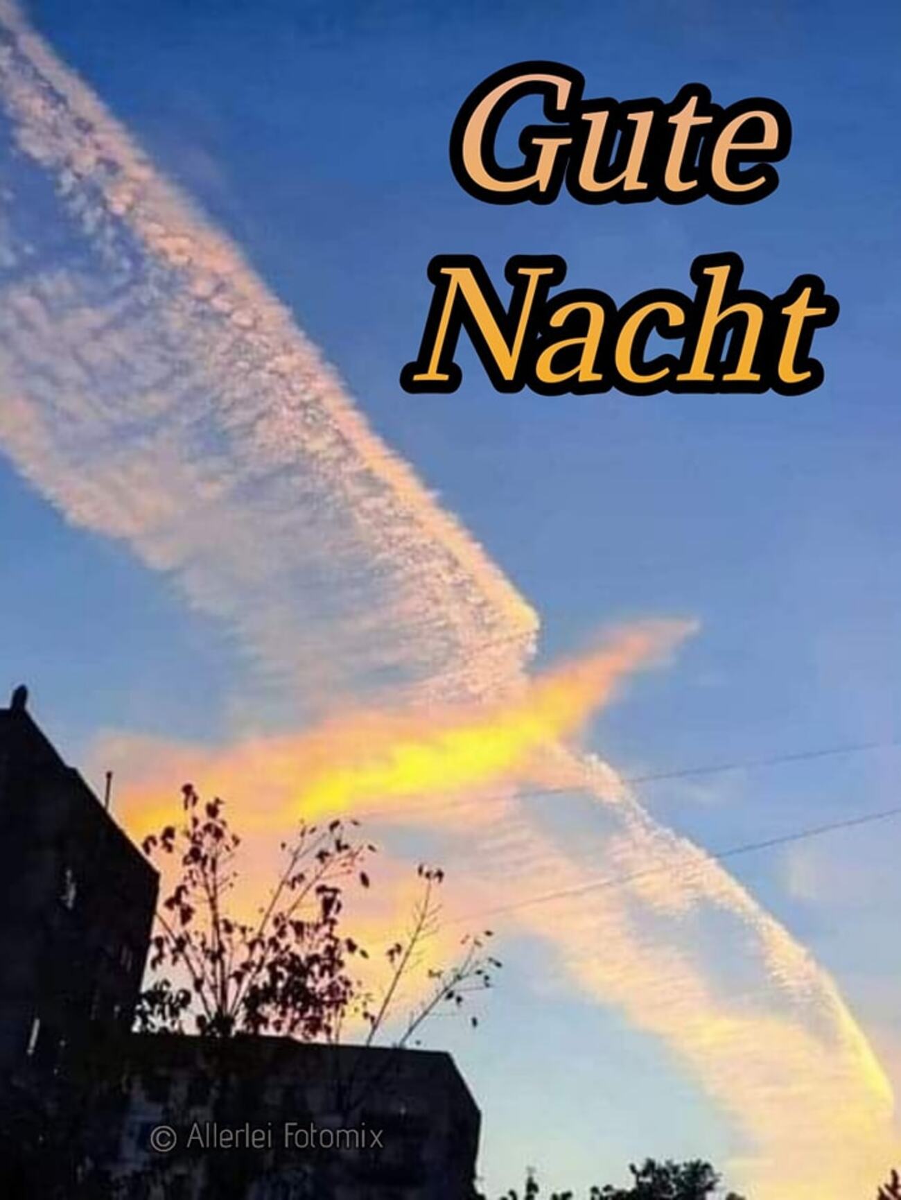 Gute Nacht 8